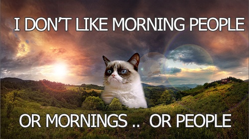 Funny Good Morning Grumpy Cat Pictures With Captions - Good Morning Images Wishes and Quotes